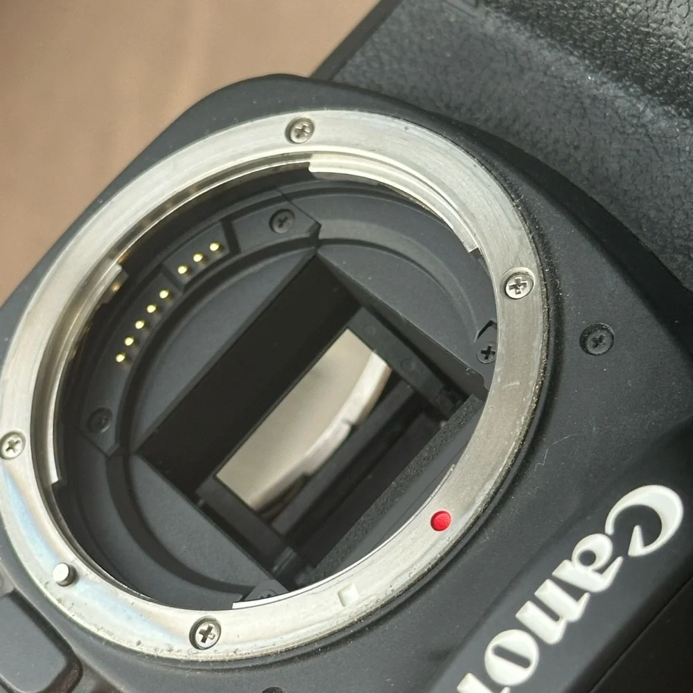 Canon Black Digital Camera Professional DSLR